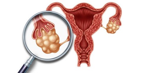 Kako da poboljšate sazrevanje jajnih ćelija i ostvarite trudnoću?